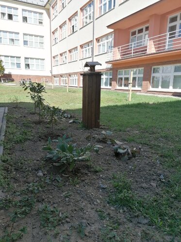 Let’s go to the garden!